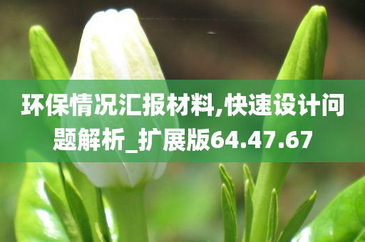 环保情况汇报材料,快速设计问题解析_扩展版64.47.67