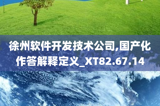 徐州软件开发技术公司,国产化作答解释定义_XT82.67.14