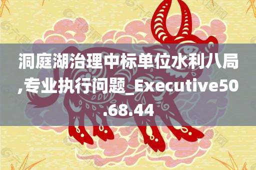 洞庭湖治理中标单位水利八局,专业执行问题_Executive50.68.44