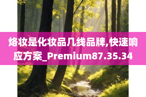 烙妆是化妆品几线品牌,快速响应方案_Premium87.35.34