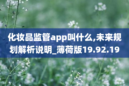 化妆品监管app叫什么,未来规划解析说明_薄荷版19.92.19