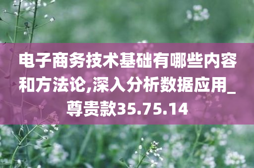 电子商务技术基础有哪些内容和方法论,深入分析数据应用_尊贵款35.75.14