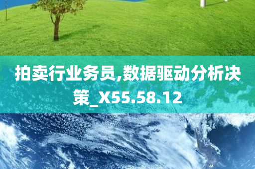 拍卖行业务员,数据驱动分析决策_X55.58.12