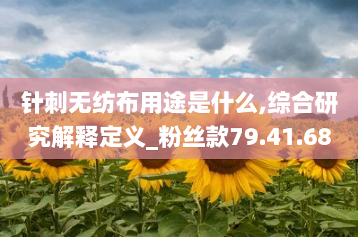 针刺无纺布用途是什么,综合研究解释定义_粉丝款79.41.68