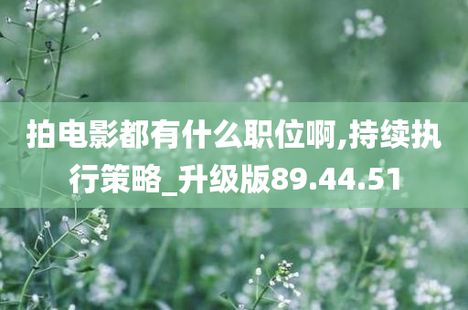 拍电影都有什么职位啊,持续执行策略_升级版89.44.51