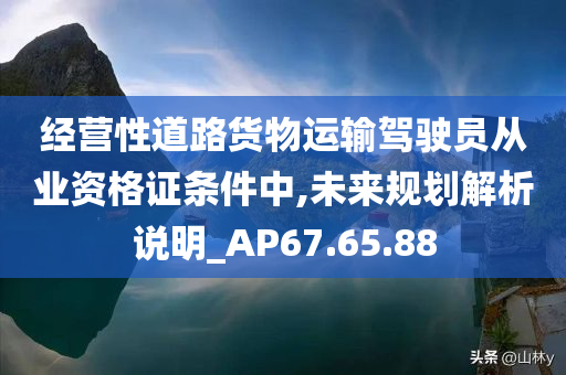 经营性道路货物运输驾驶员从业资格证条件中,未来规划解析说明_AP67.65.88