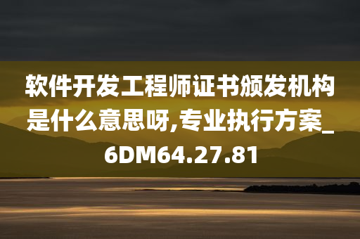 软件开发工程师证书颁发机构是什么意思呀,专业执行方案_6DM64.27.81