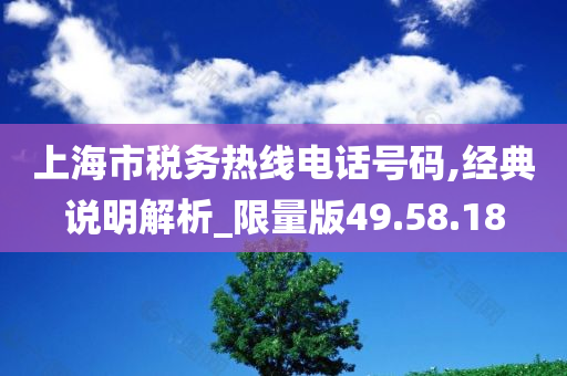 上海市税务热线电话号码,经典说明解析_限量版49.58.18