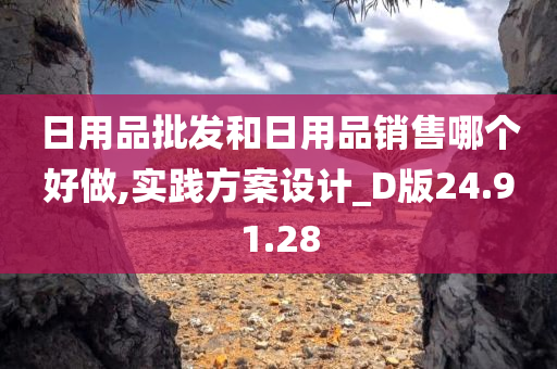 日用品批发和日用品销售哪个好做,实践方案设计_D版24.91.28