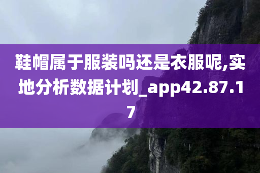 鞋帽属于服装吗还是衣服呢,实地分析数据计划_app42.87.17