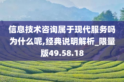 信息技术咨询属于现代服务吗为什么呢,经典说明解析_限量版49.58.18