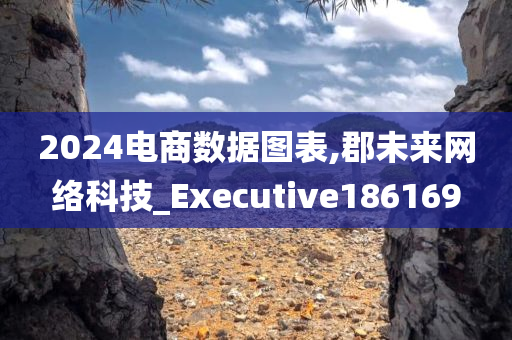 2024电商数据图表,郡未来网络科技_Executive186169