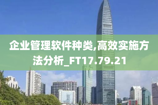 企业管理软件种类,高效实施方法分析_FT17.79.21