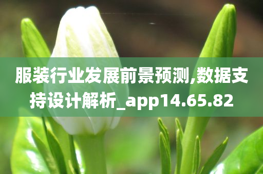 服装行业发展前景预测,数据支持设计解析_app14.65.82