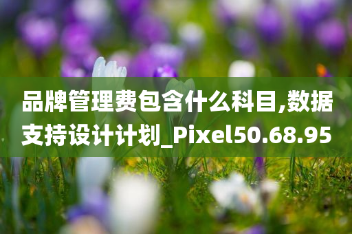 品牌管理费包含什么科目,数据支持设计计划_Pixel50.68.95