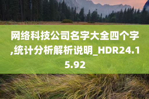 网络科技公司名字大全四个字,统计分析解析说明_HDR24.15.92