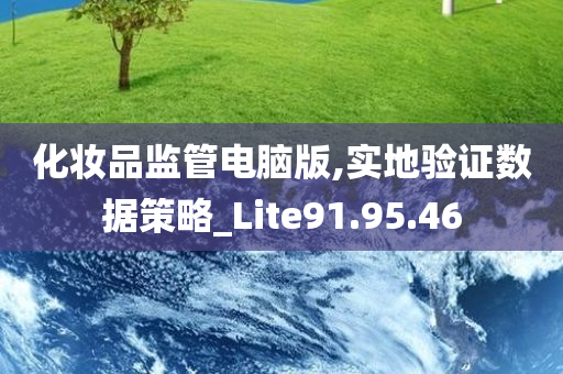 化妆品监管电脑版,实地验证数据策略_Lite91.95.46