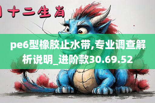 pe6型橡胶止水带,专业调查解析说明_进阶款30.69.52