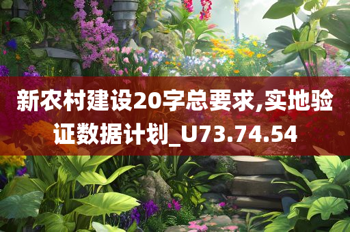 新农村建设20字总要求,实地验证数据计划_U73.74.54