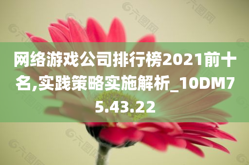 网络游戏公司排行榜2021前十名,实践策略实施解析_10DM75.43.22