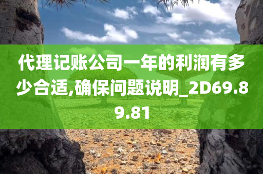 代理记账公司一年的利润有多少合适,确保问题说明_2D69.89.81