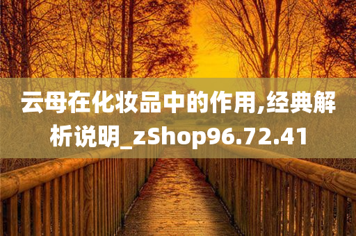 云母在化妆品中的作用,经典解析说明_zShop96.72.41