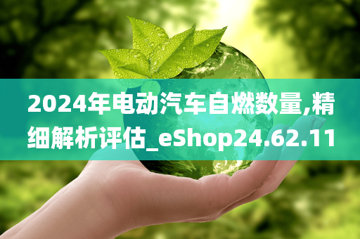 2024年电动汽车自燃数量,精细解析评估_eShop24.62.11