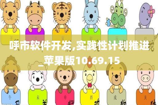 呼市软件开发,实践性计划推进_苹果版10.69.15