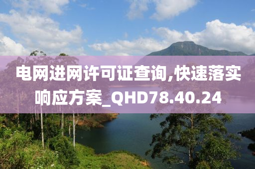 电网进网许可证查询,快速落实响应方案_QHD78.40.24