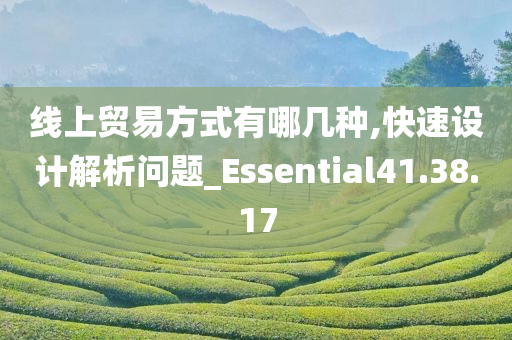 线上贸易方式有哪几种,快速设计解析问题_Essential41.38.17