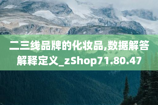 二三线品牌的化妆品,数据解答解释定义_zShop71.80.47