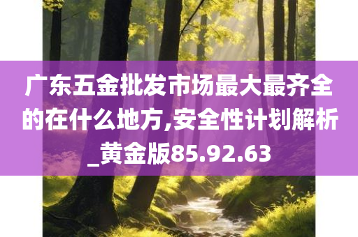 广东五金批发市场最大最齐全的在什么地方,安全性计划解析_黄金版85.92.63