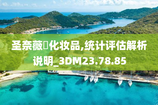 圣奈薇爾化妆品,统计评估解析说明_3DM23.78.85