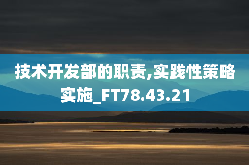 技术开发部的职责,实践性策略实施_FT78.43.21