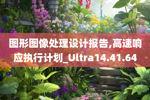 图形图像处理设计报告,高速响应执行计划_Ultra14.41.64