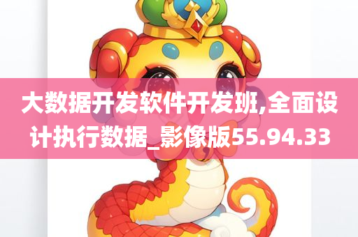 大数据开发软件开发班,全面设计执行数据_影像版55.94.33