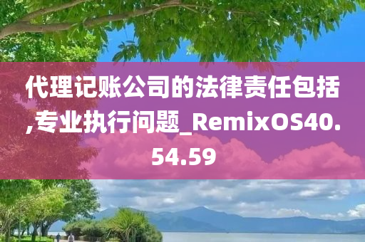 代理记账公司的法律责任包括,专业执行问题_RemixOS40.54.59