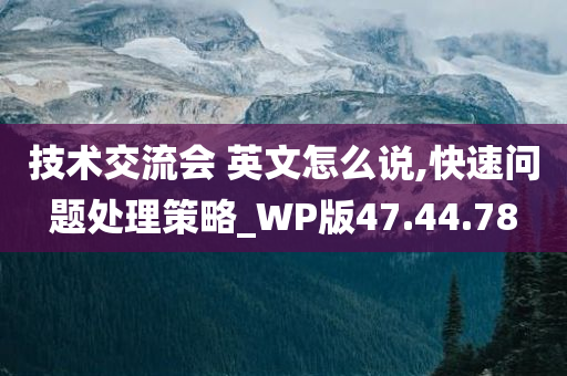 技术交流会 英文怎么说,快速问题处理策略_WP版47.44.78