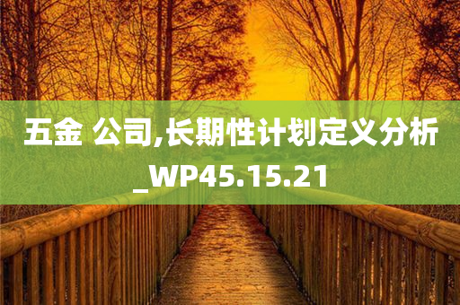 五金 公司,长期性计划定义分析_WP45.15.21