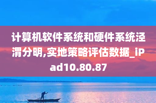 计算机软件系统和硬件系统泾渭分明,实地策略评估数据_iPad10.80.87