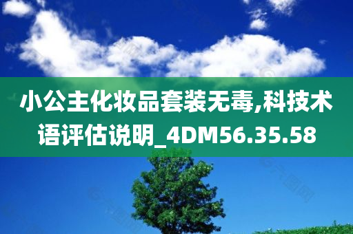 小公主化妆品套装无毒,科技术语评估说明_4DM56.35.58