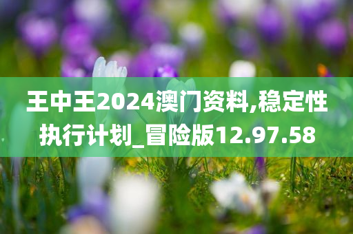 王中王2024澳门资料,稳定性执行计划_冒险版12.97.58