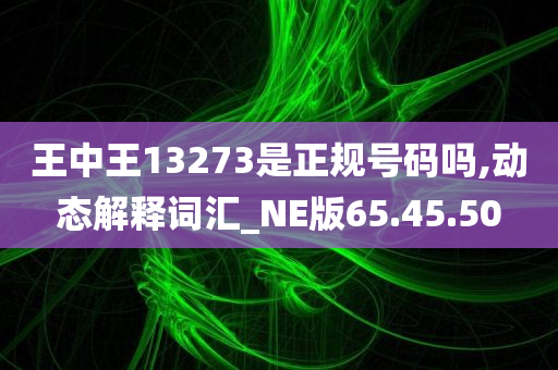 王中王13273是正规号码吗,动态解释词汇_NE版65.45.50