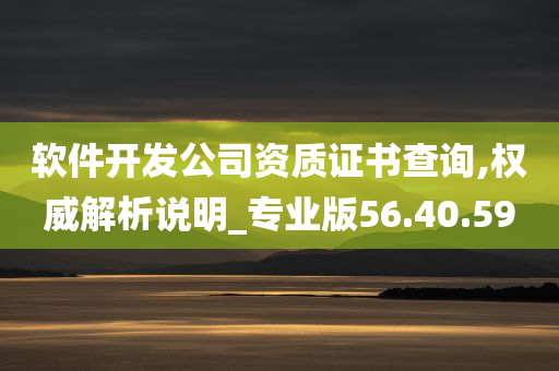 软件开发公司资质证书查询,权威解析说明_专业版56.40.59