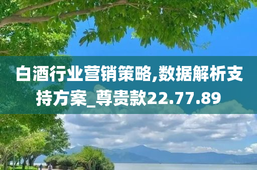 白酒行业营销策略,数据解析支持方案_尊贵款22.77.89