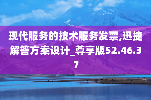 现代服务的技术服务发票,迅捷解答方案设计_尊享版52.46.37