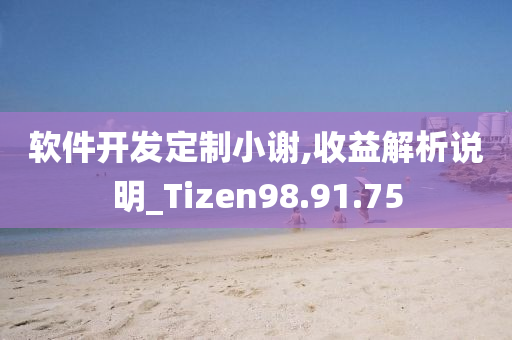 软件开发定制小谢,收益解析说明_Tizen98.91.75