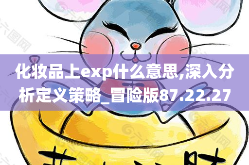 化妆品上exp什么意思,深入分析定义策略_冒险版87.22.27