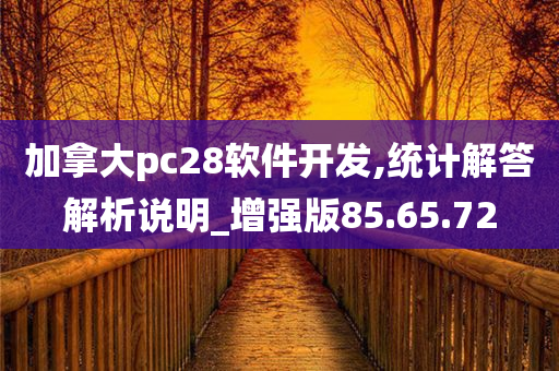 加拿大pc28软件开发,统计解答解析说明_增强版85.65.72