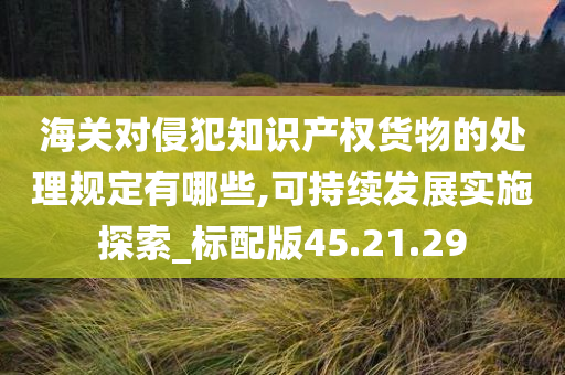 海关对侵犯知识产权货物的处理规定有哪些,可持续发展实施探索_标配版45.21.29